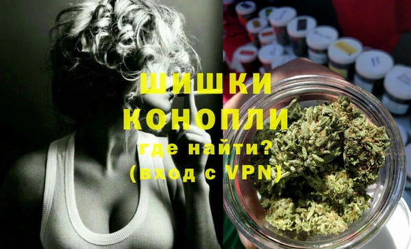 индика Волоколамск