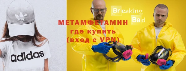 индика Волоколамск