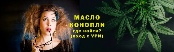 индика Волоколамск