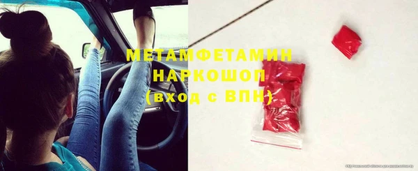 индика Волоколамск