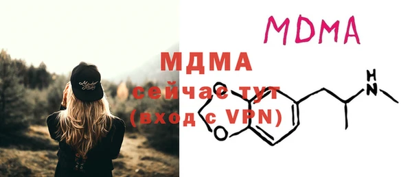 индика Волоколамск