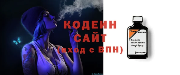 индика Волоколамск