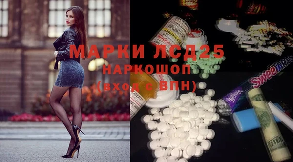 индика Волоколамск