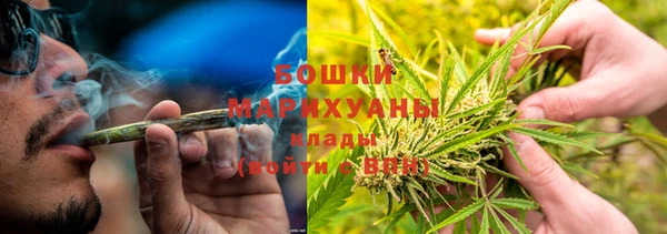 индика Волоколамск